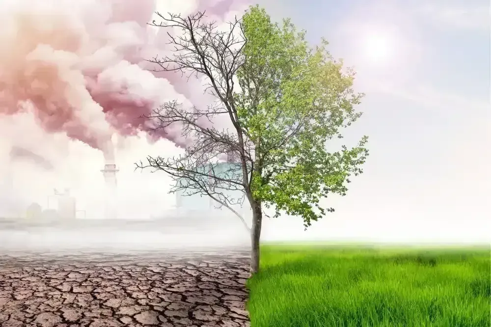 Environment & Climate Resilience: Building Greener Communities